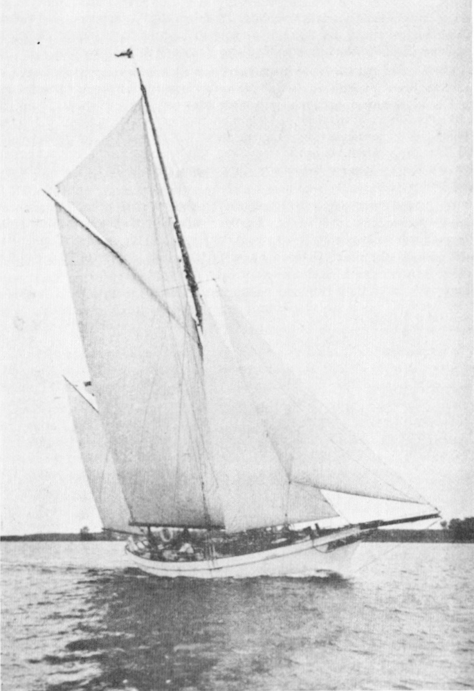 Stettiner Yacht Club E V Lubeck Homepage Des Styc Seite 11